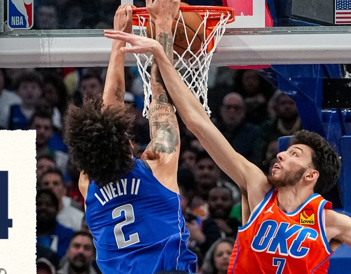 初步调查 初步调查